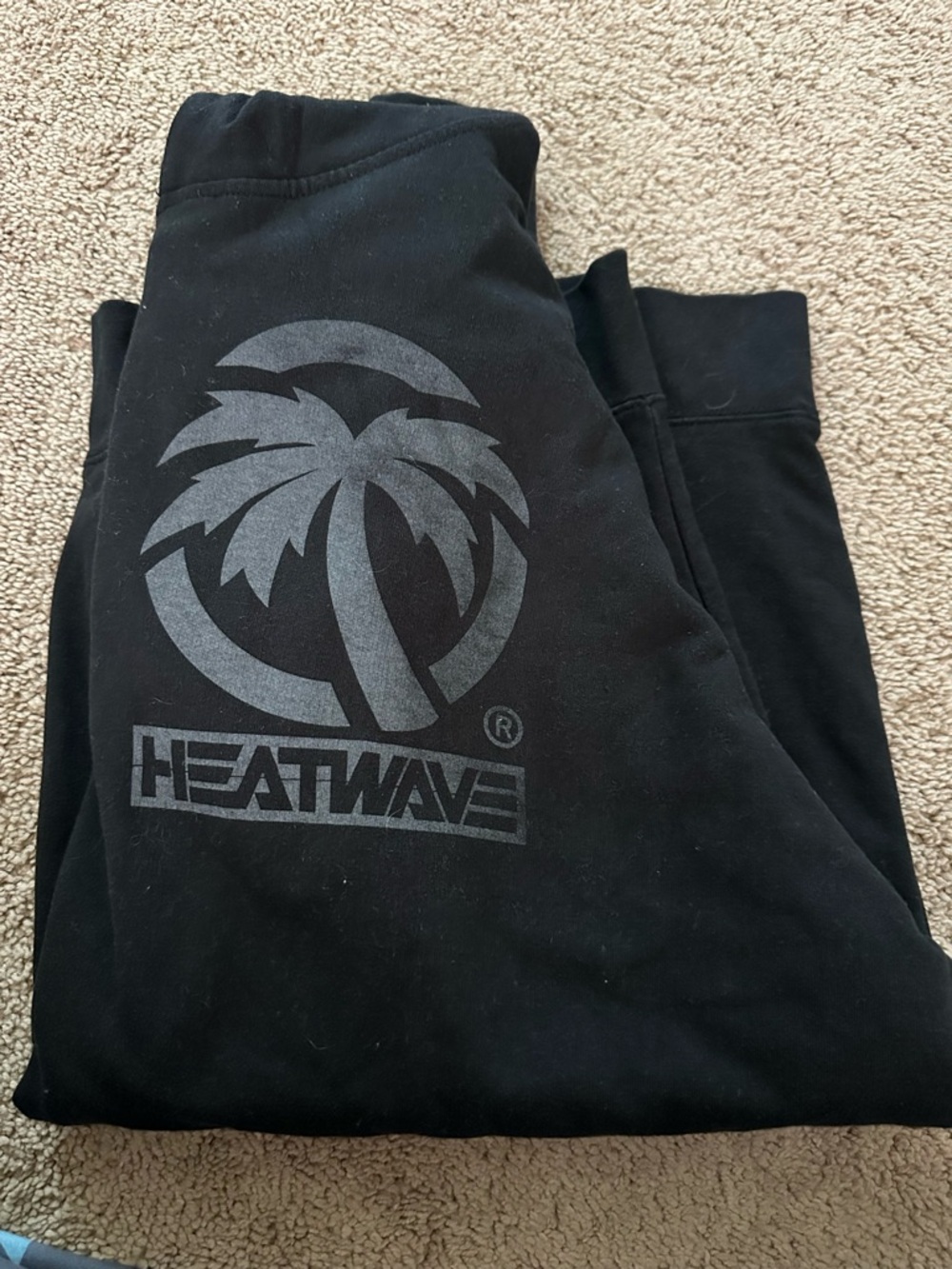 Men's Black Logo Hoodie with Palm Graphic